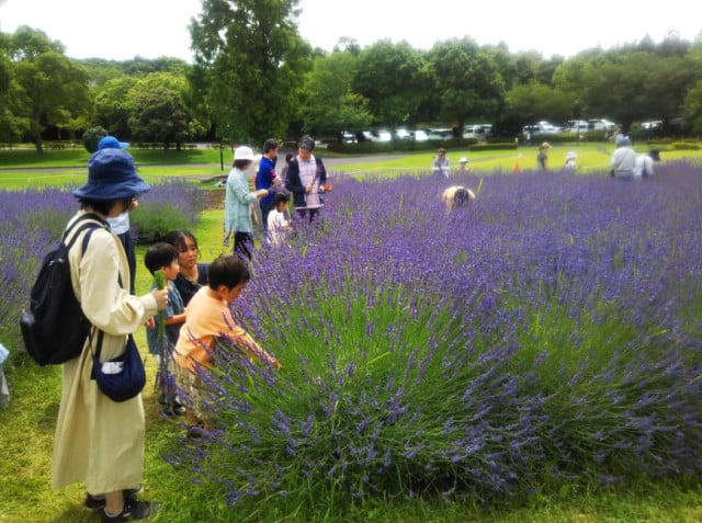 [ 2024年6月22日 撮影 ］